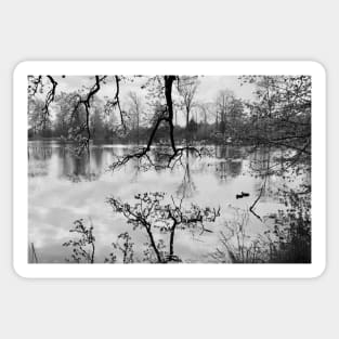 Mirror Lake / Swiss Artwork Photography Sticker